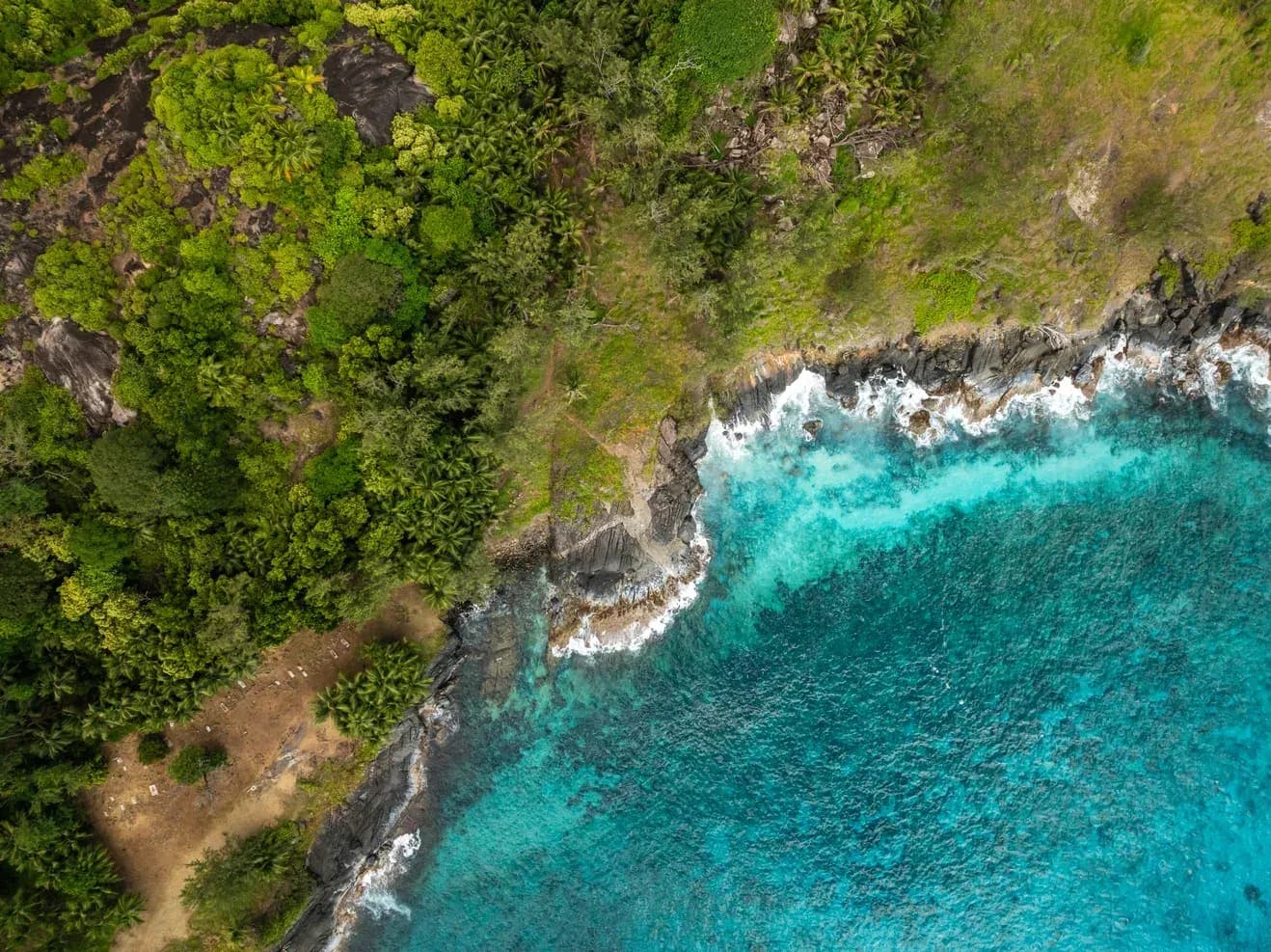 Niva Labriz Seychelles