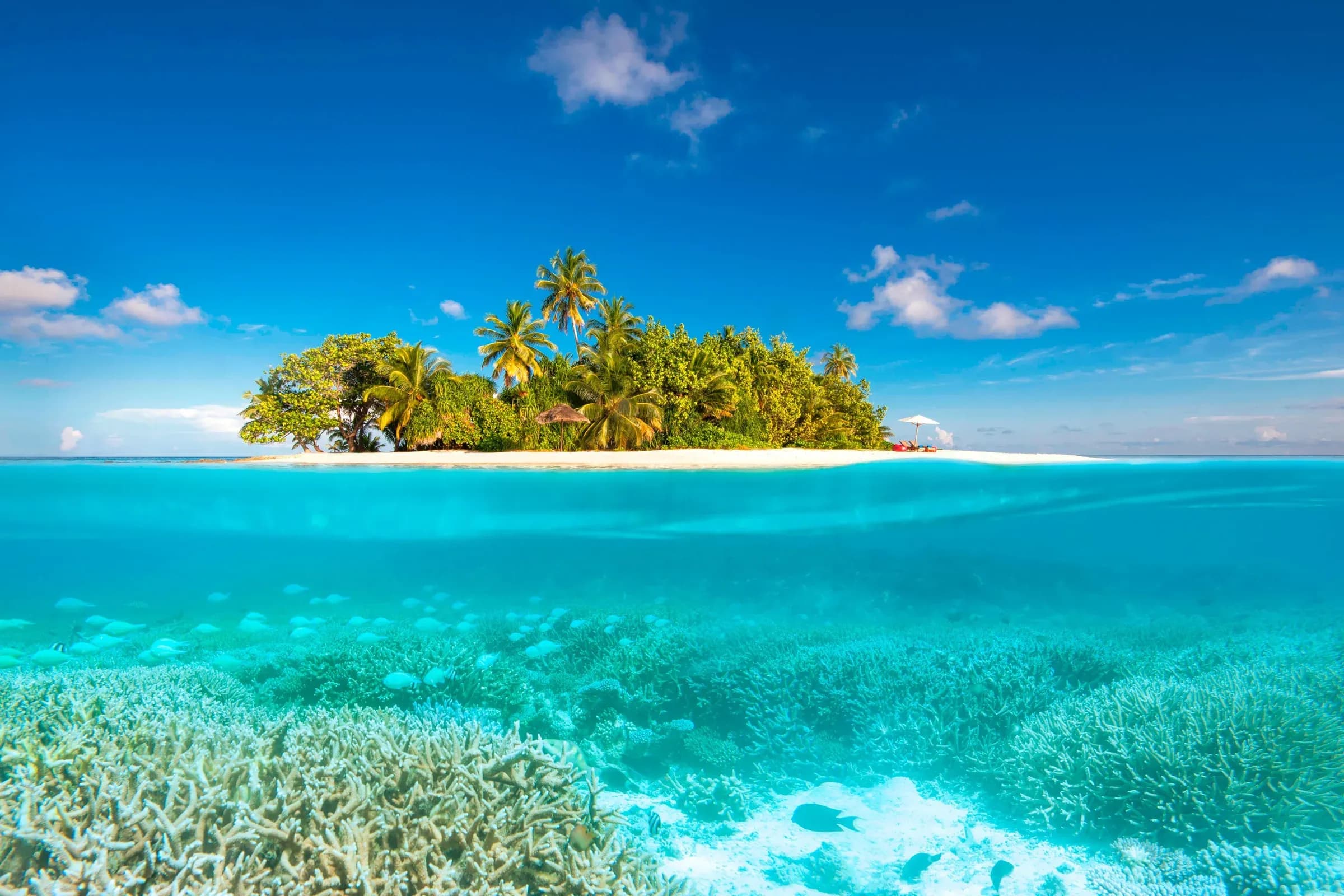 W Maldives