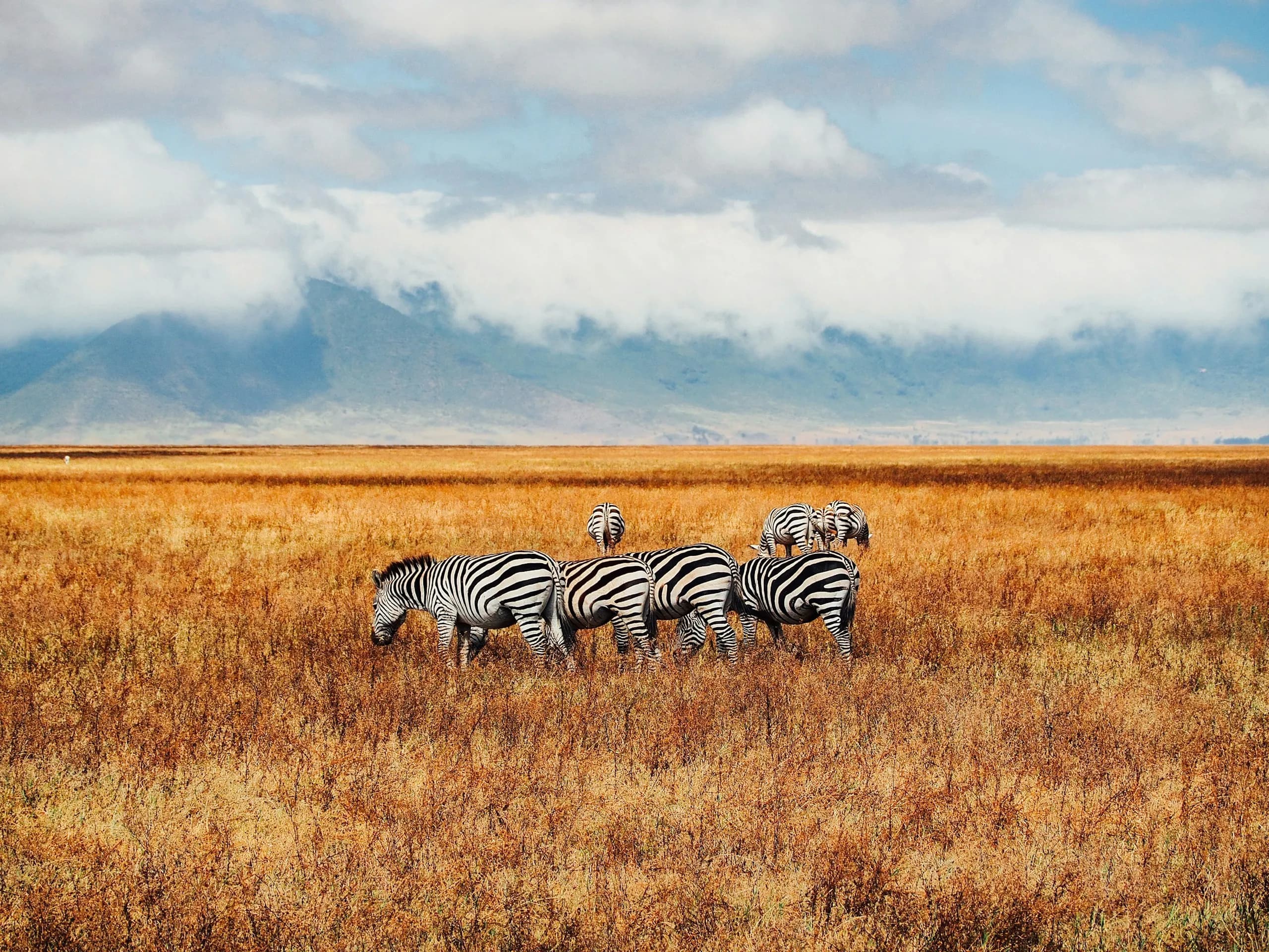 Ngorongoro crater descent
