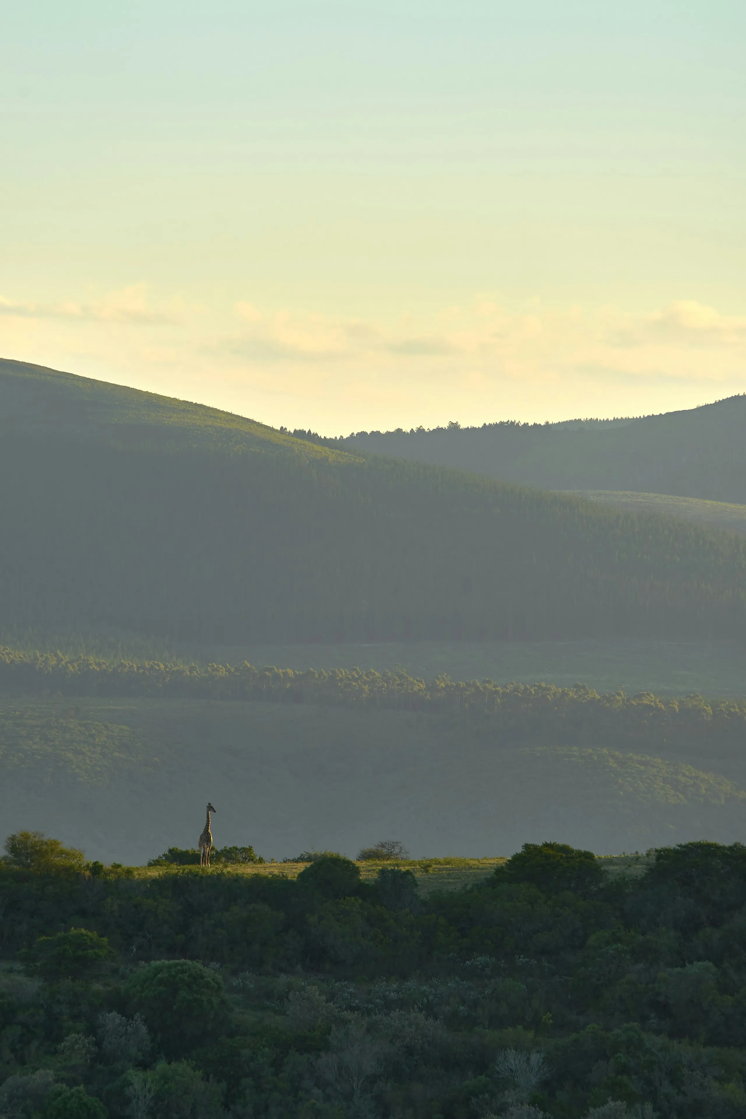 Ngorongoro Crater Lodge
