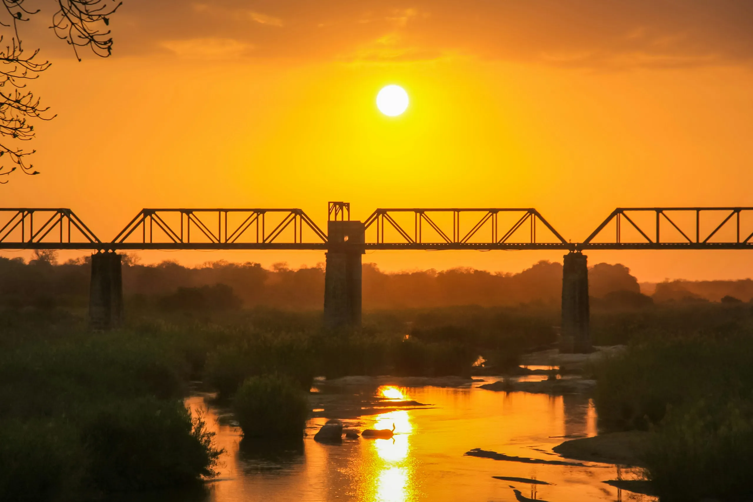 Tarangire River Camp