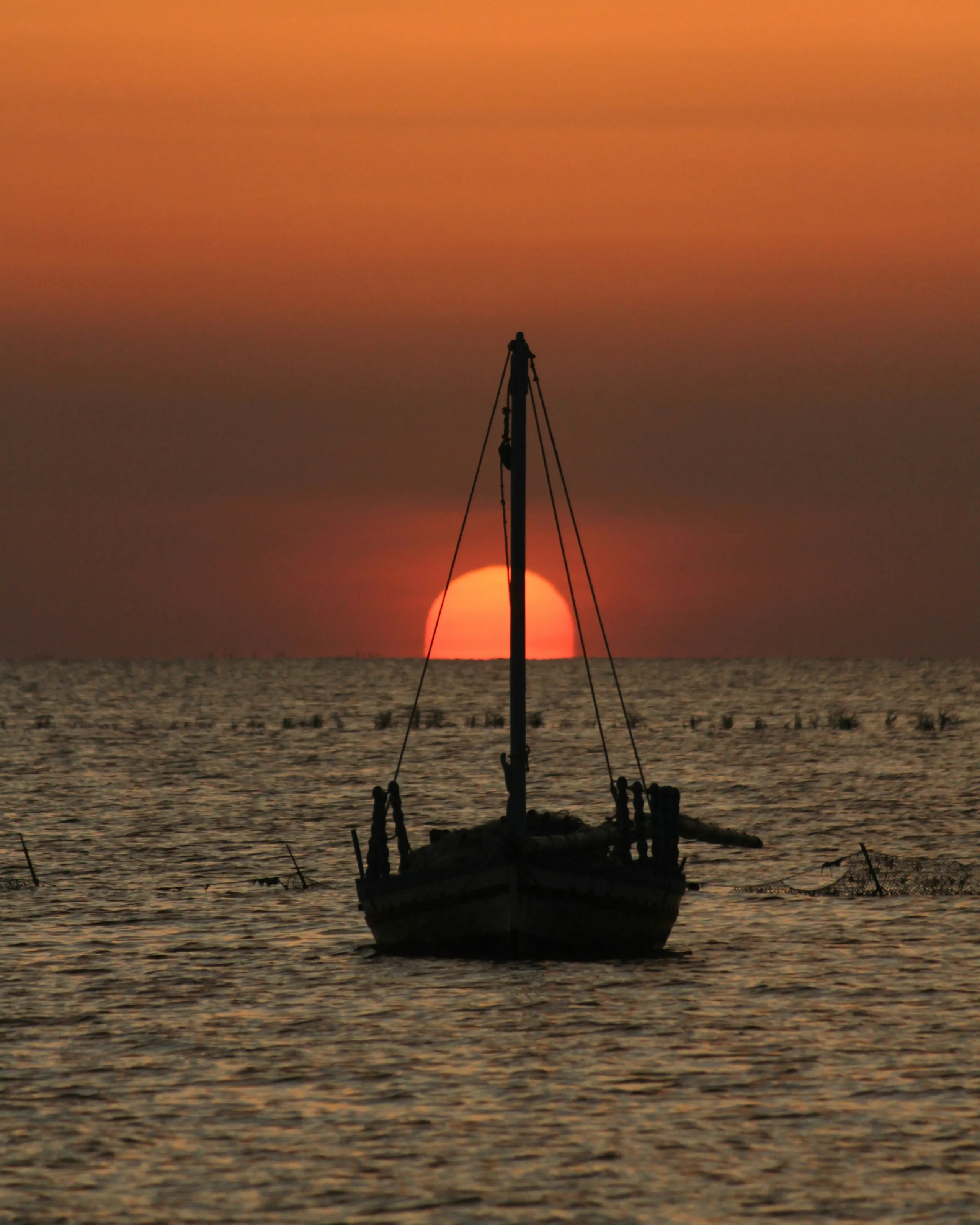 Dhow sail at sunset