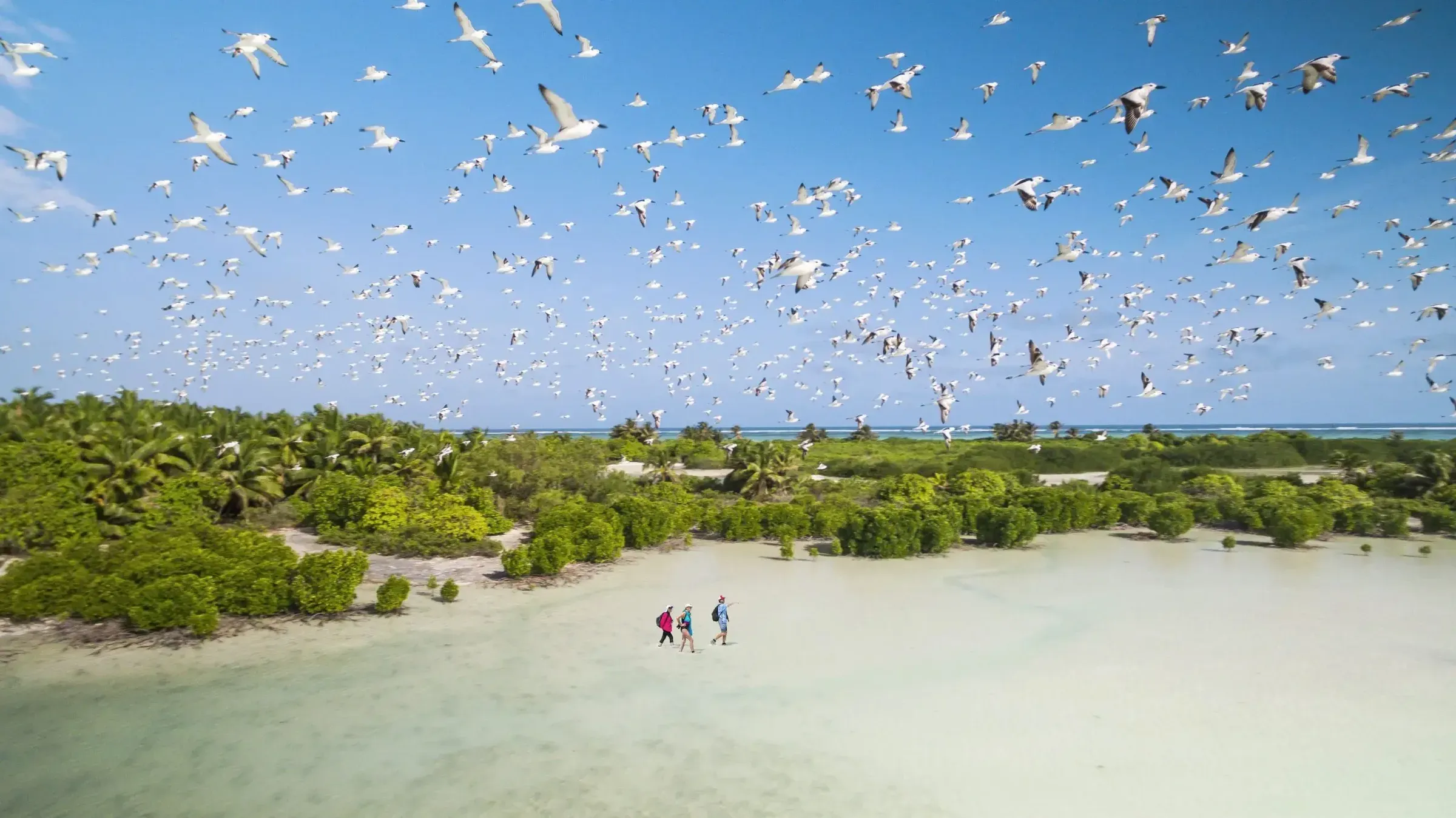 Guided nature walk with the conservation team at Alphonse Island