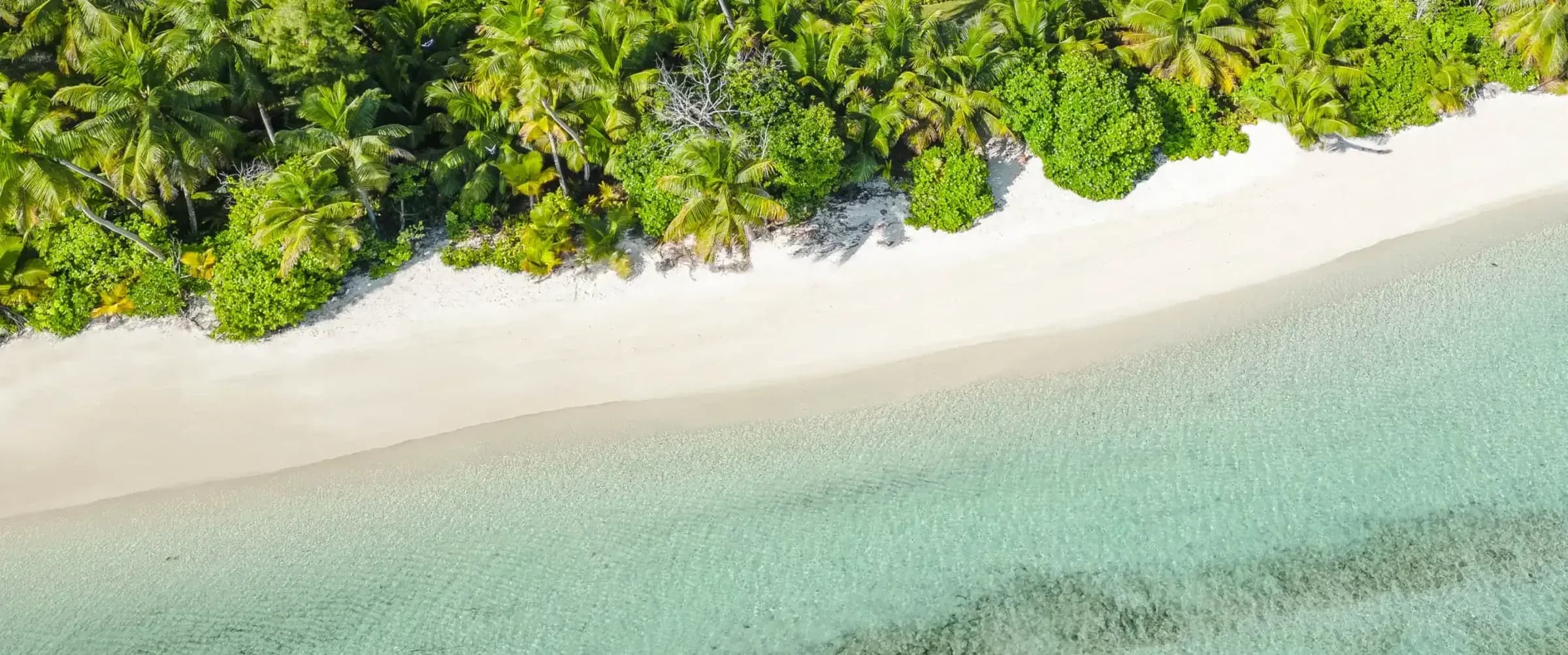 Aerial view of Alphonse Island's coral atoll and turquoise lagoon, Seychelles Outer Islands