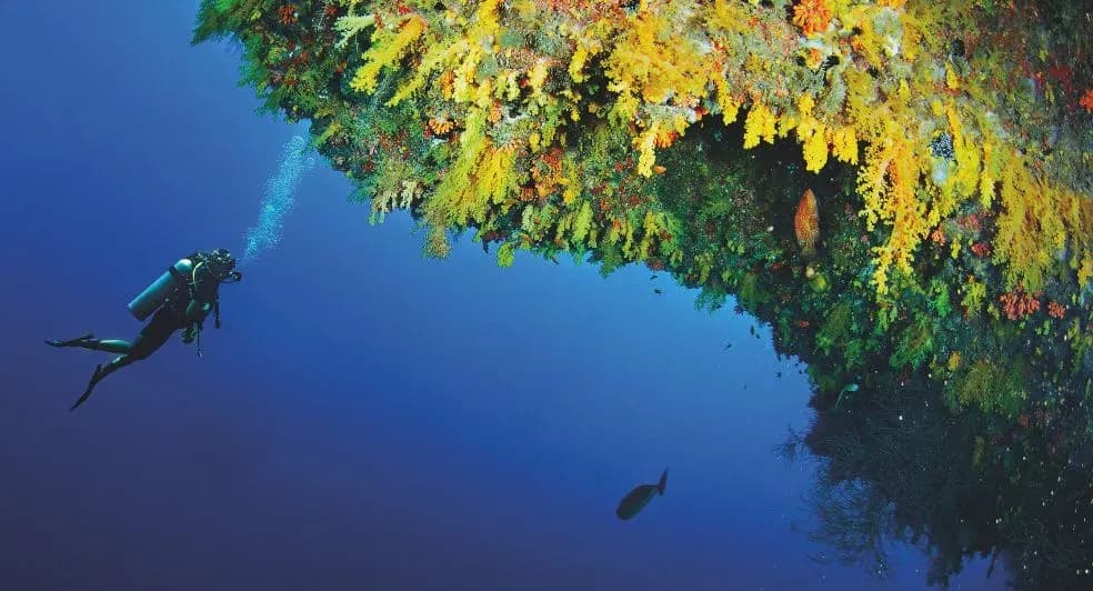 Scuba diving at the Dive & Watersports Centre, Anantara Kihavah Maldives Villas