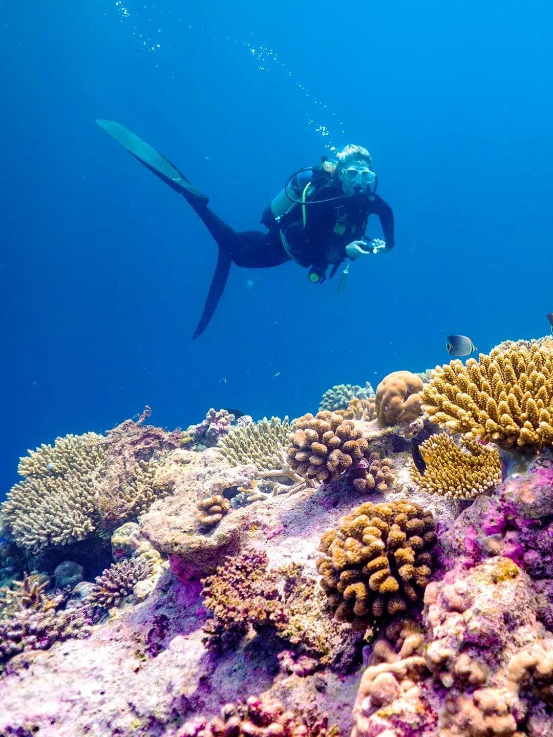 Diving excursion with Maagau Dive Centre at Baglioni Resort Maldives