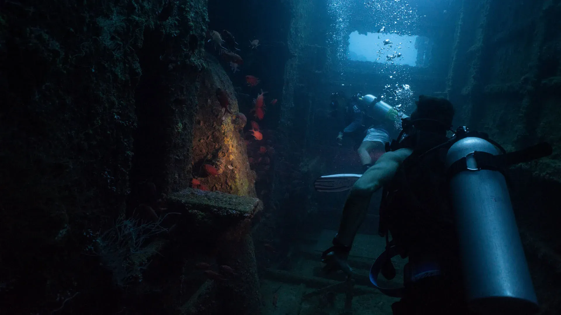PADI dive centre course at Banyan Tree Vabbinfaru