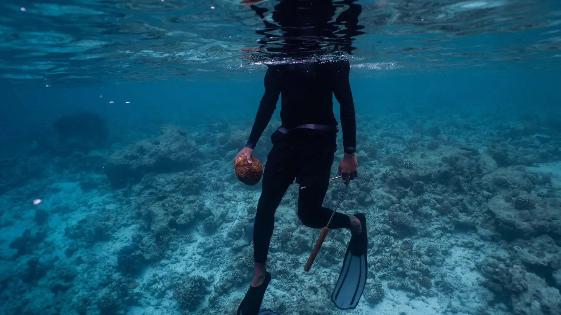 Marine Lab reef clean-up activity at Banyan Tree Vabbinfaru