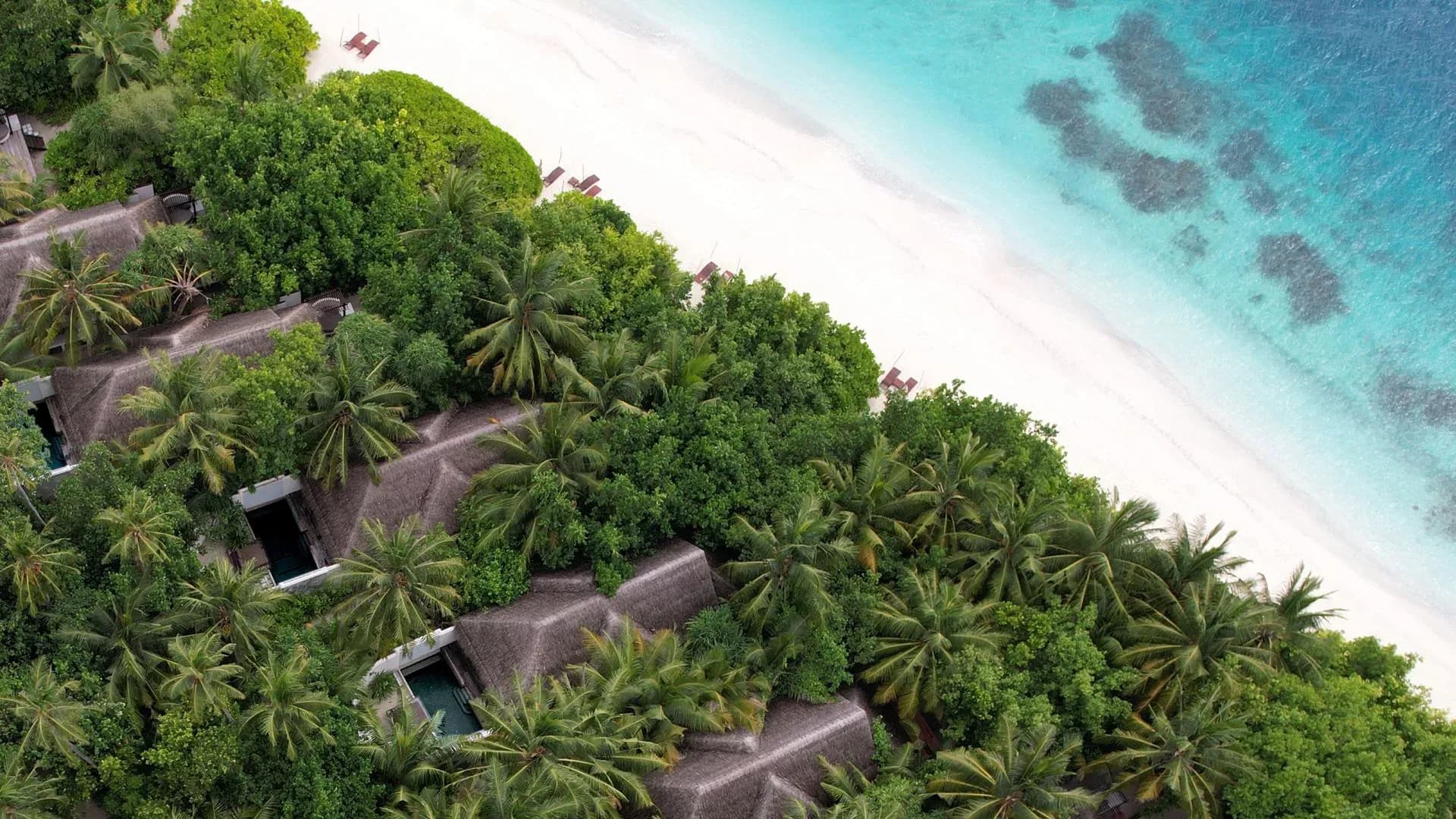 Beach Villa with Pool set on the sand at Coco Bodu Hithi