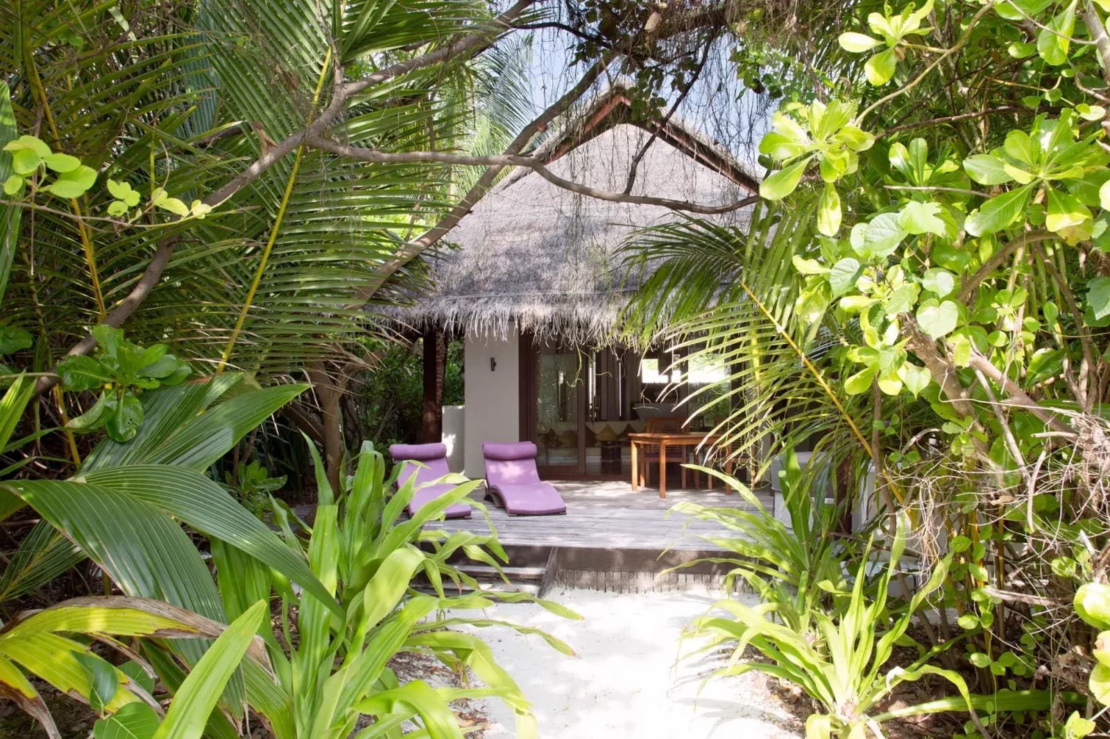 Island Villa with Pool garden courtyard at Coco Bodu Hithi