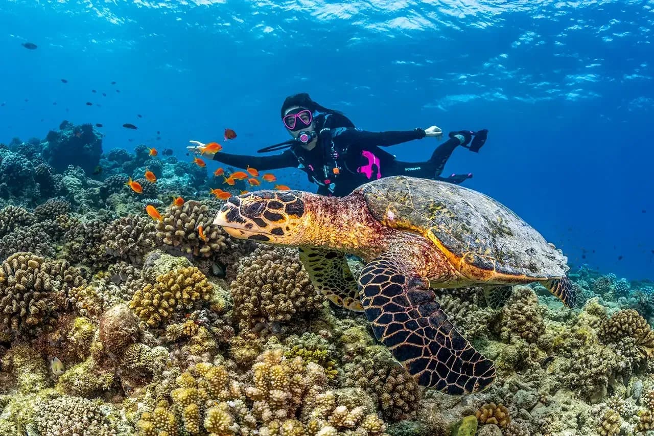 PADI dive centre at Conrad Maldives Rangali Island