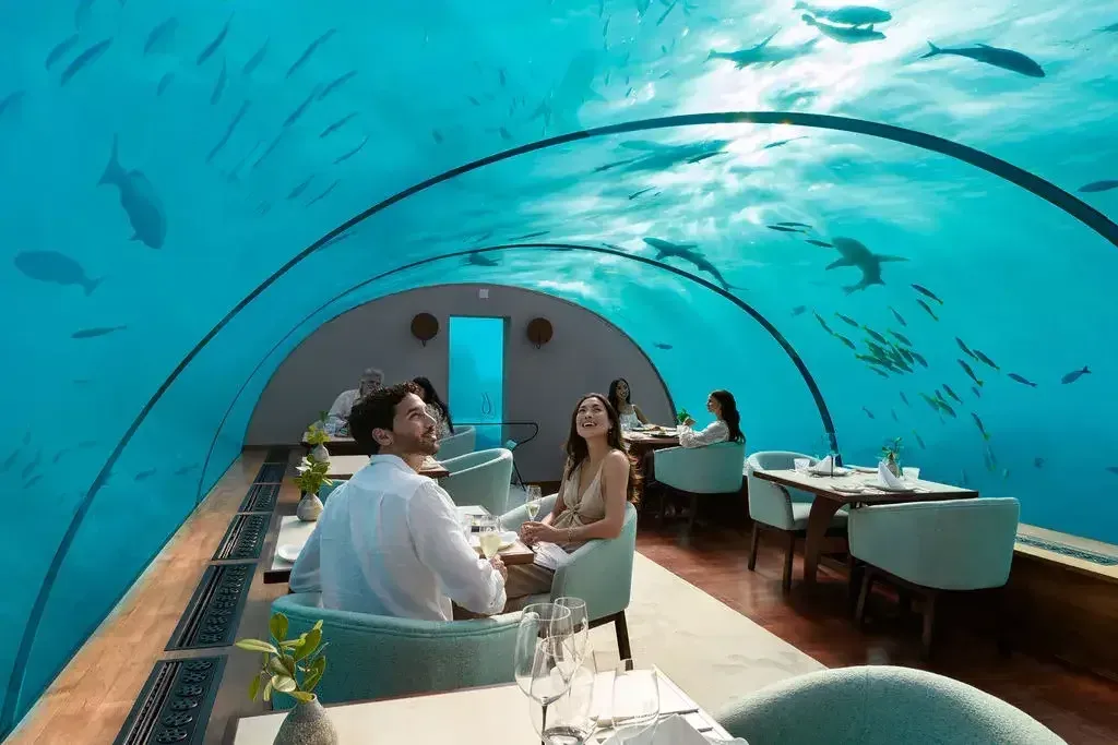 Guests dining at Ithaa Undersea Restaurant, five metres below the Indian Ocean, Conrad Maldives Rangali Island