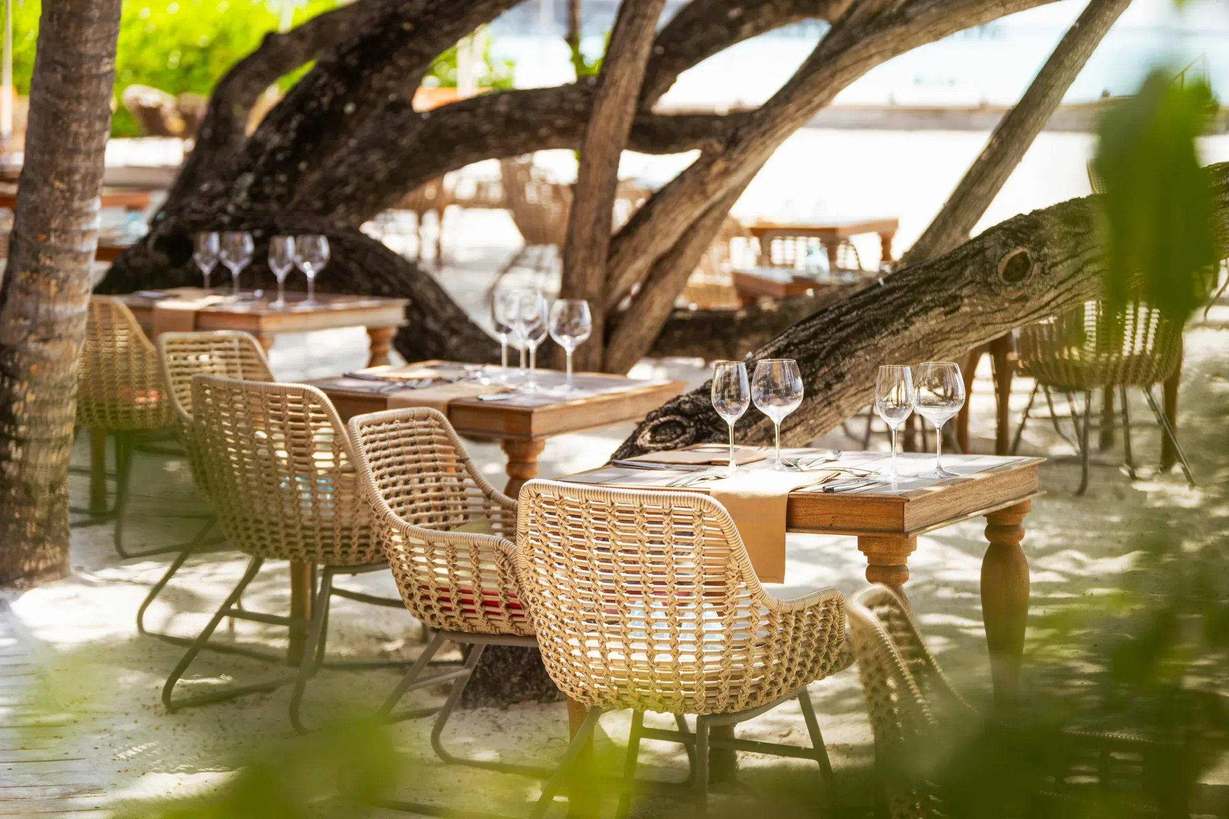 Manta Restaurant barefoot buffet dining setting at Constance Moofushi