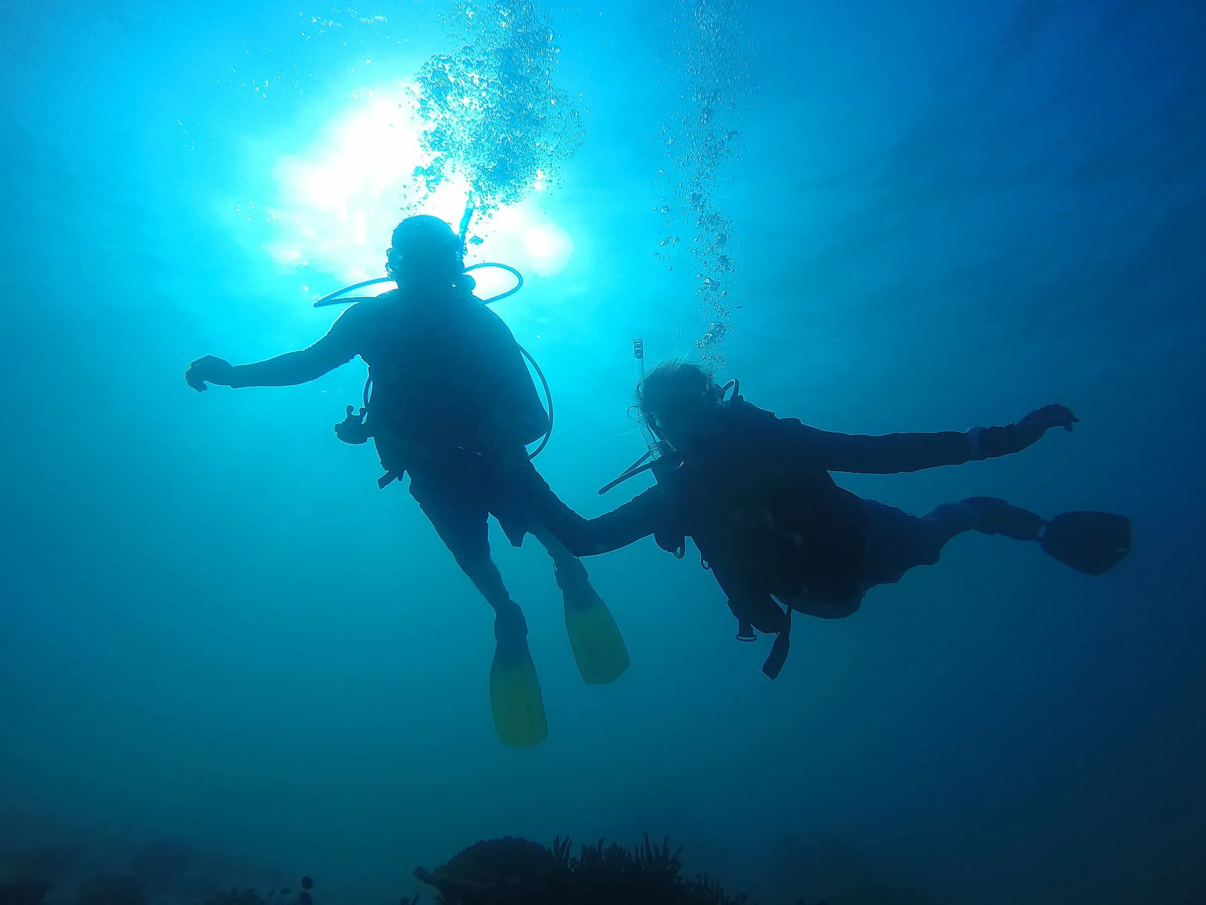 Divers exploring the reef off Cousine Island, Seychelles