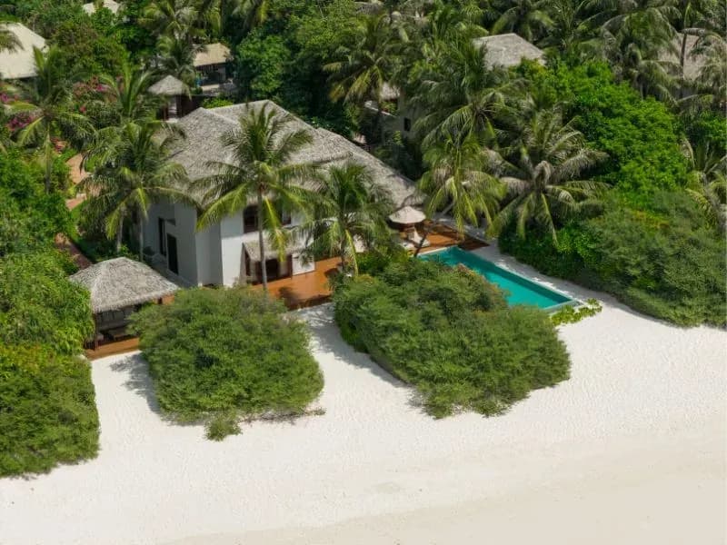 Aerial view of Dusit Thani Maldives' beachfront residences among palm trees on Mudhdhoo Island, Baa Atoll