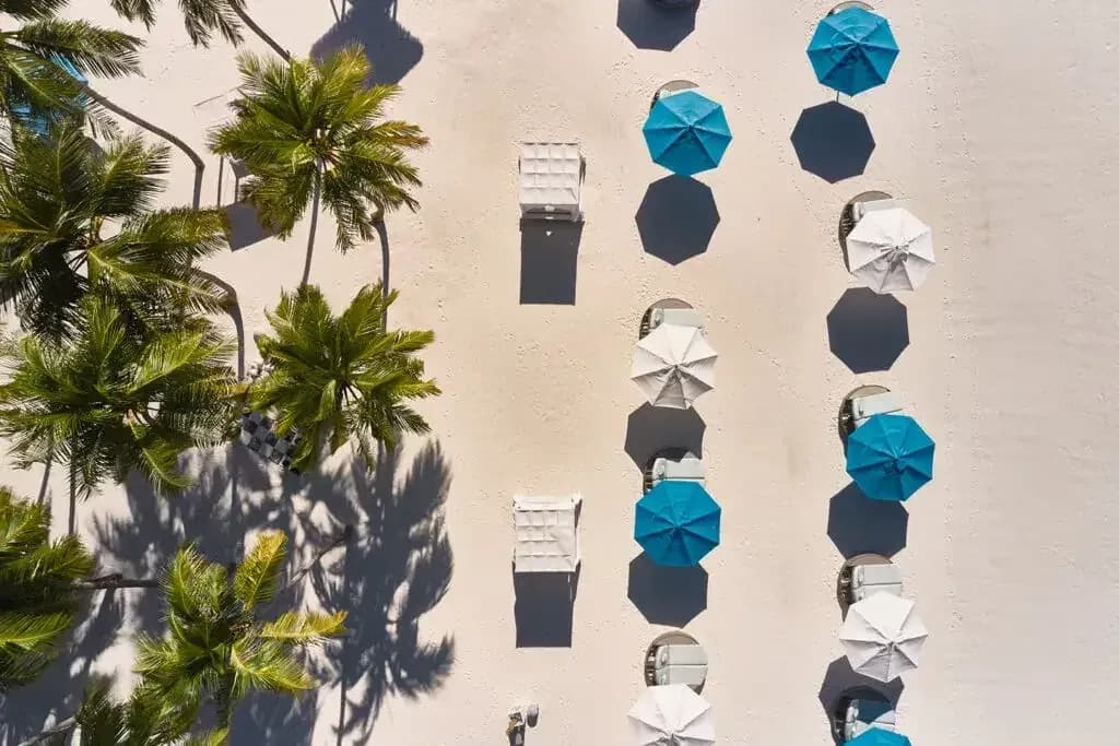Aerial view of sun loungers and umbrellas beneath palm trees on Finolhu's beach, Baa Atoll Maldives