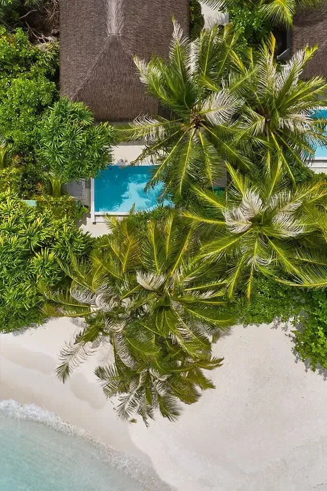 Drone view of Private Pool Villas set among palm trees at Finolhu Maldives