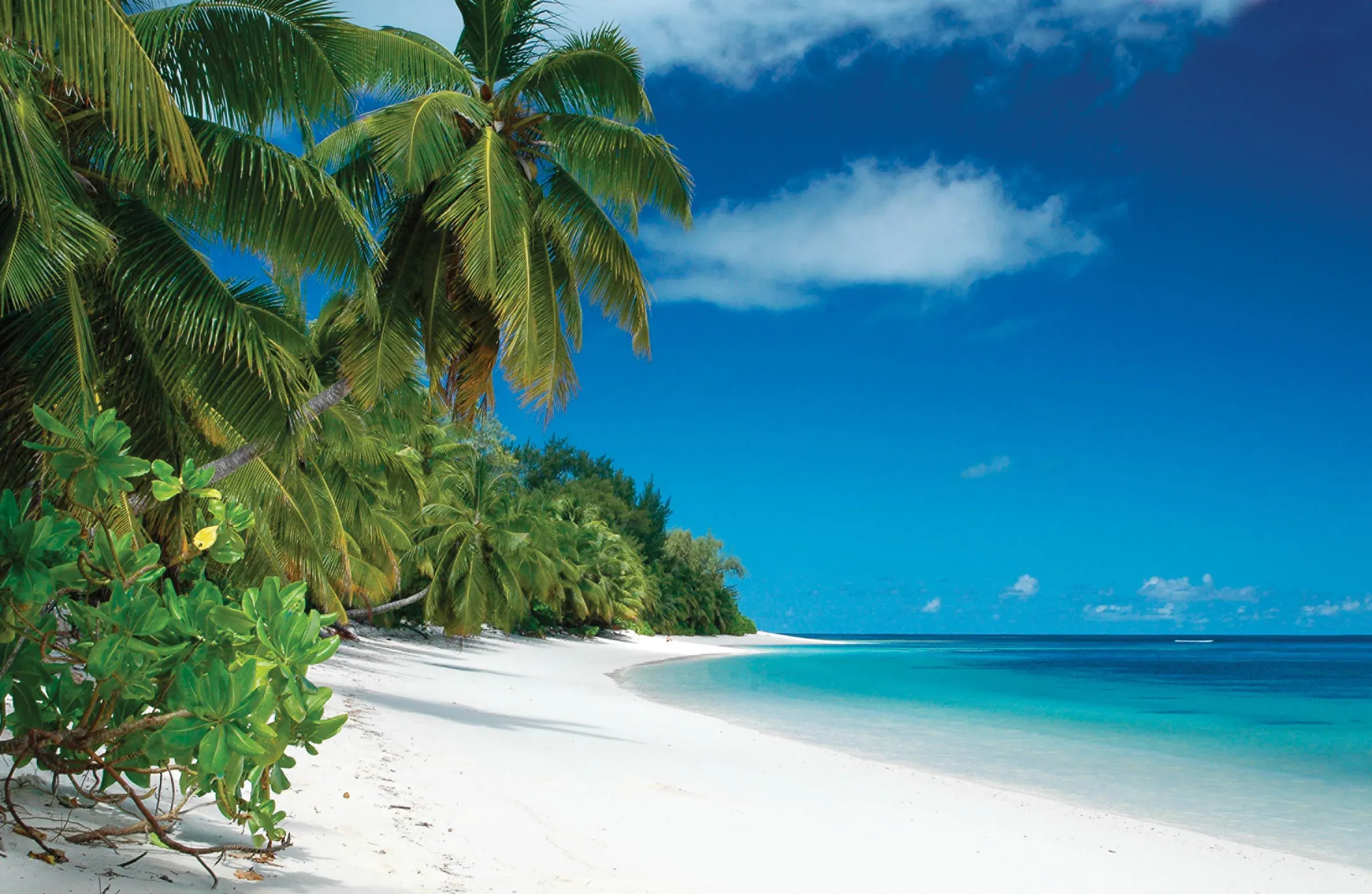 Palm-fringed white-sand beach and turquoise lagoon at Desroches Island, Seychelles