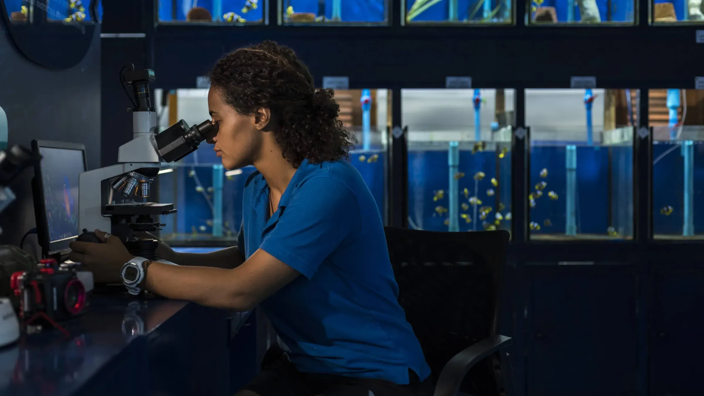 Marine biologist at work in the Marine Discovery Centre laboratory, Four Seasons Landaa Giraavaru