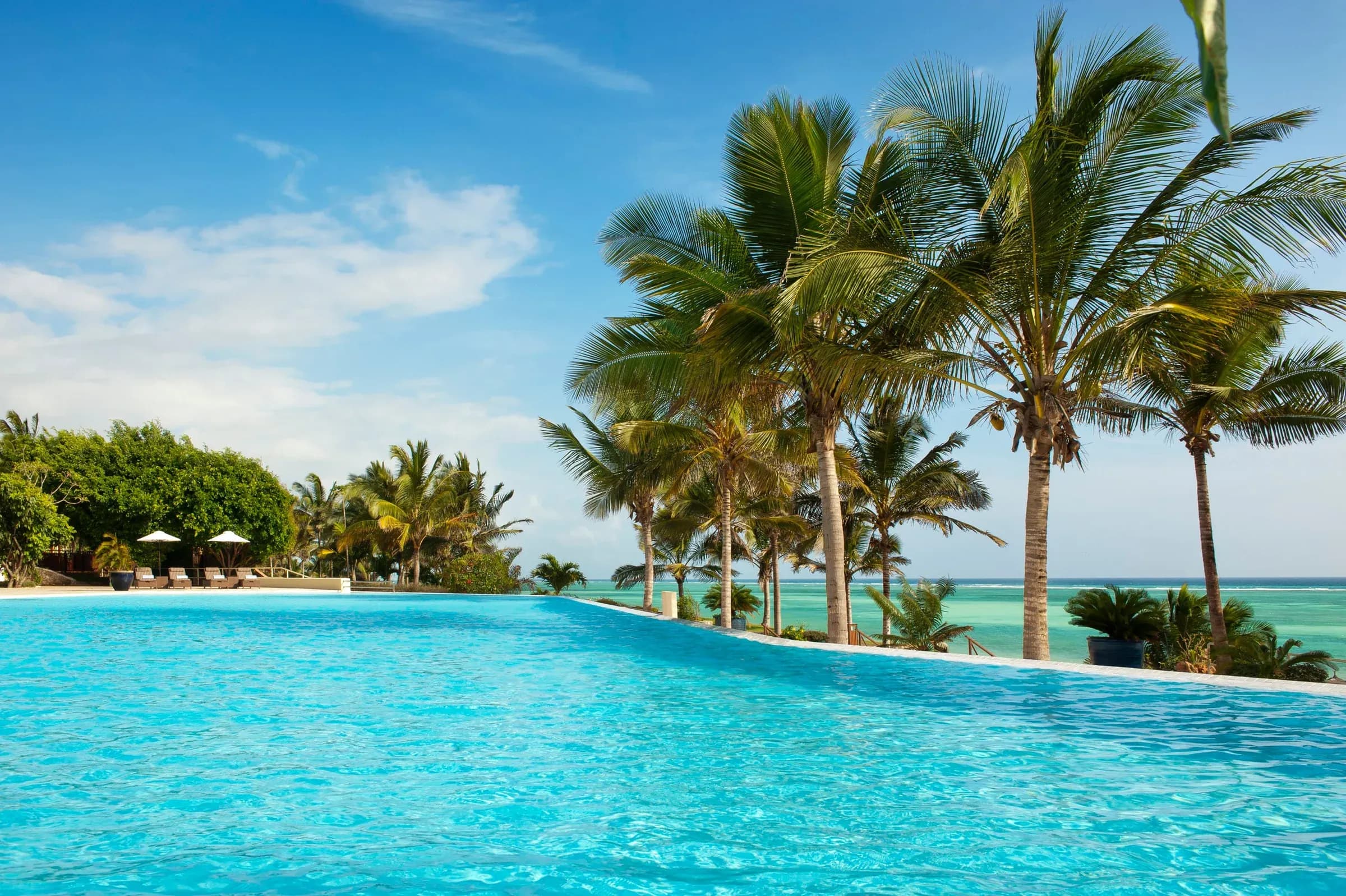 Infinity pool shaded by palm trees at Meliá Zanzibar