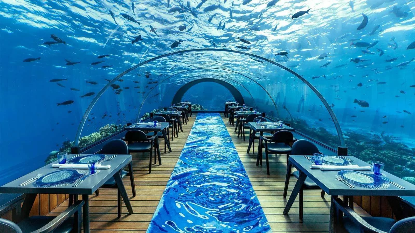 Dining room of the 5.8 Undersea Restaurant, 5.8 metres below the lagoon at Hurawalhi Island Resort