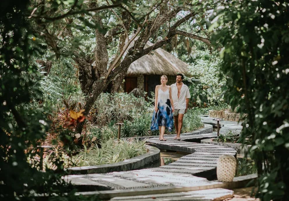 Path through the jungle to Calm Spa Sanctuary at JA Manafaru