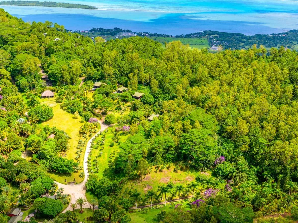 Aerial view of forest trails in the hills around Lakaz Chamarel Exclusive Lodge