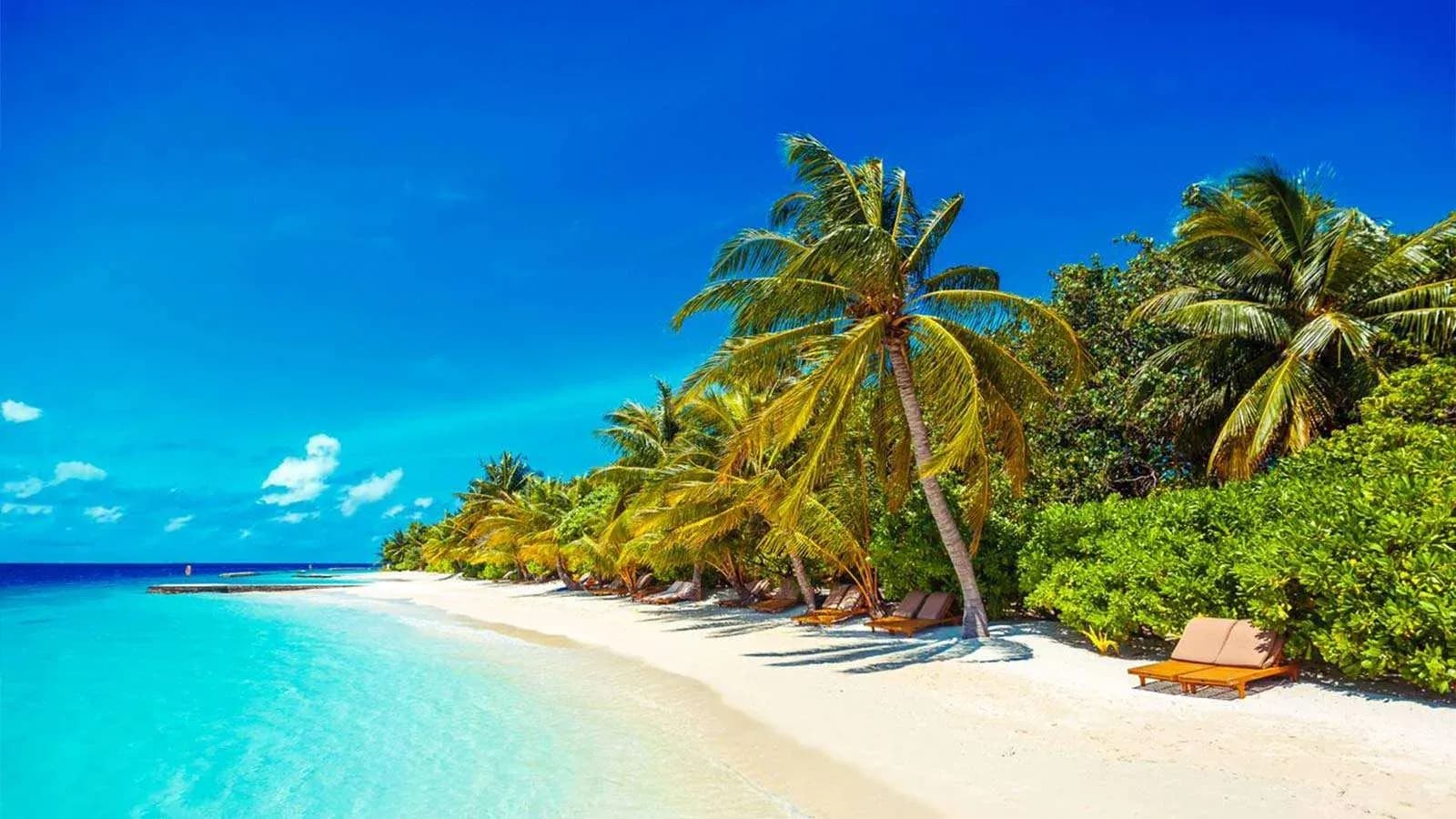 Palm-lined beach and turquoise lagoon at Lily Beach Resort & Spa, South Ari Atoll