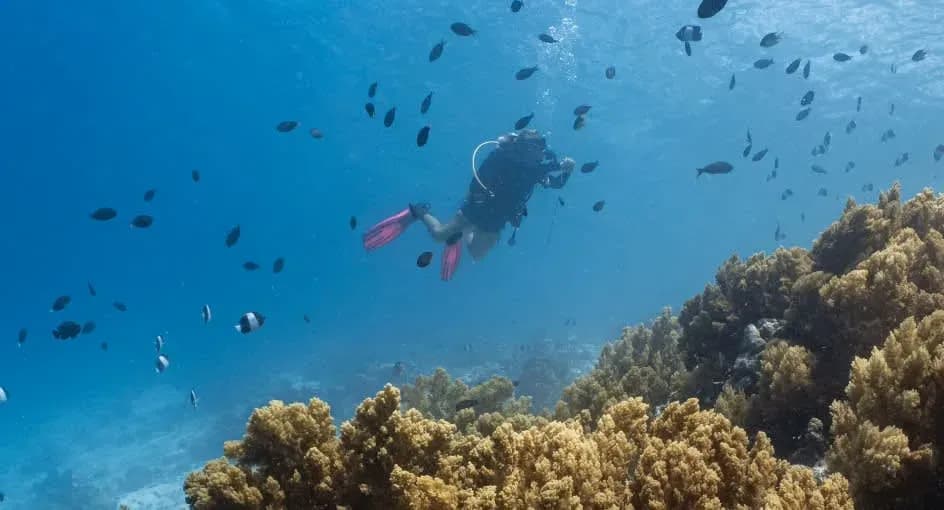 Snorkelling excursion over the reef at Niyama Private Islands Maldives