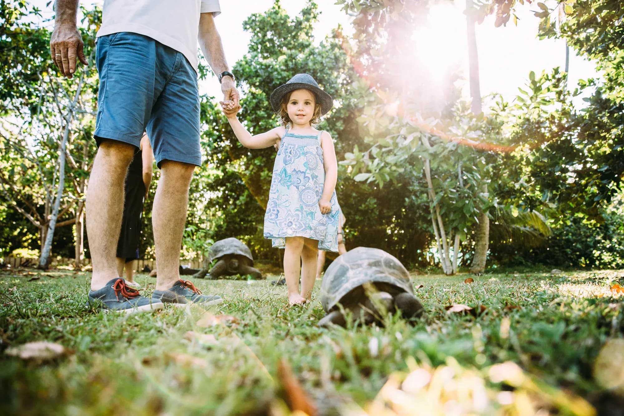 Child meeting an Aldabra giant tortoise as part of North Island's conservation programme, Seychelles