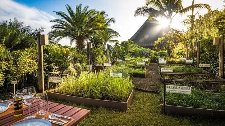 The Herb Trail garden dining venue at The Oberoi Beach Resort, Mauritius
