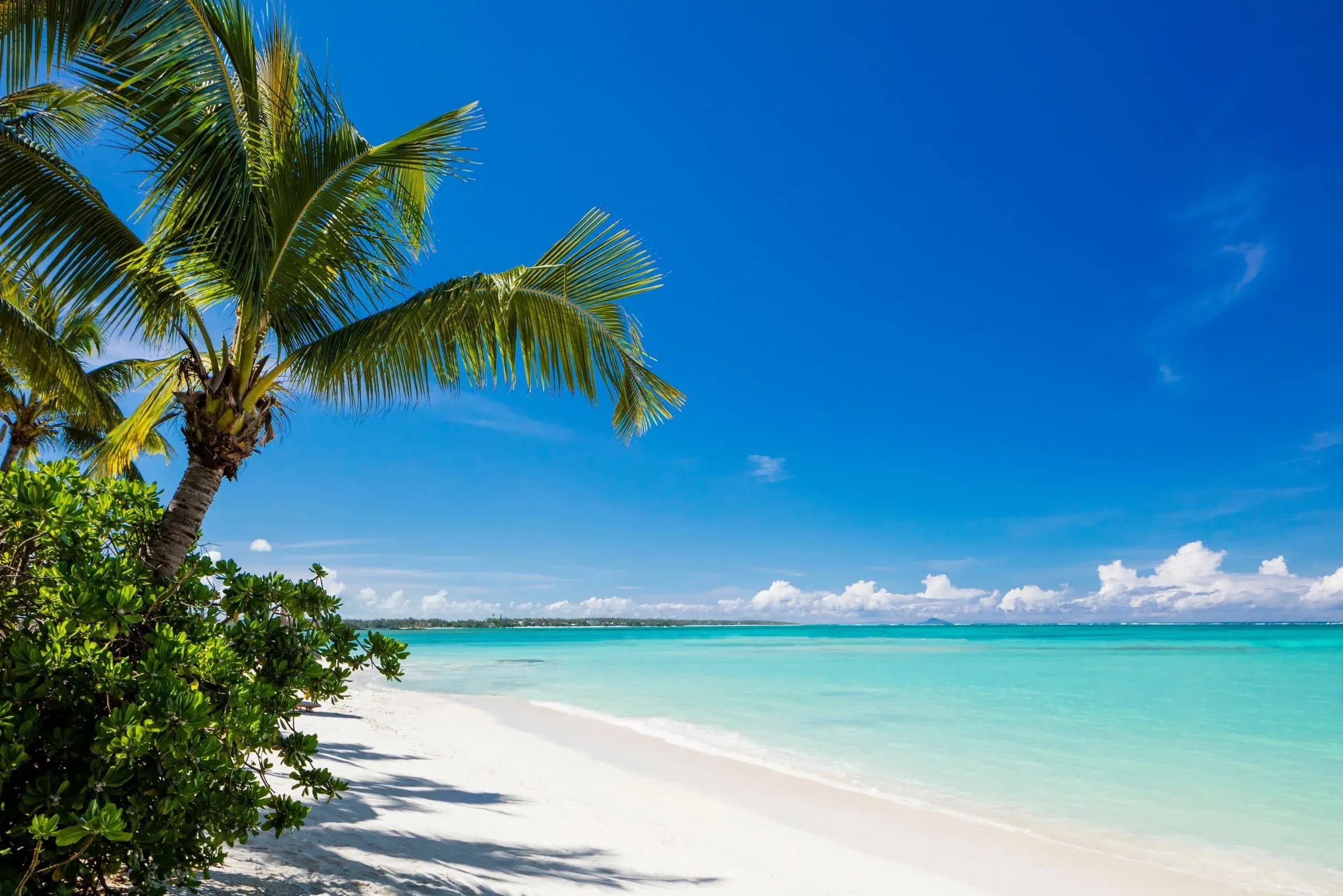 Villa One private garden and beachfront lawn at One&Only Le Saint Géran