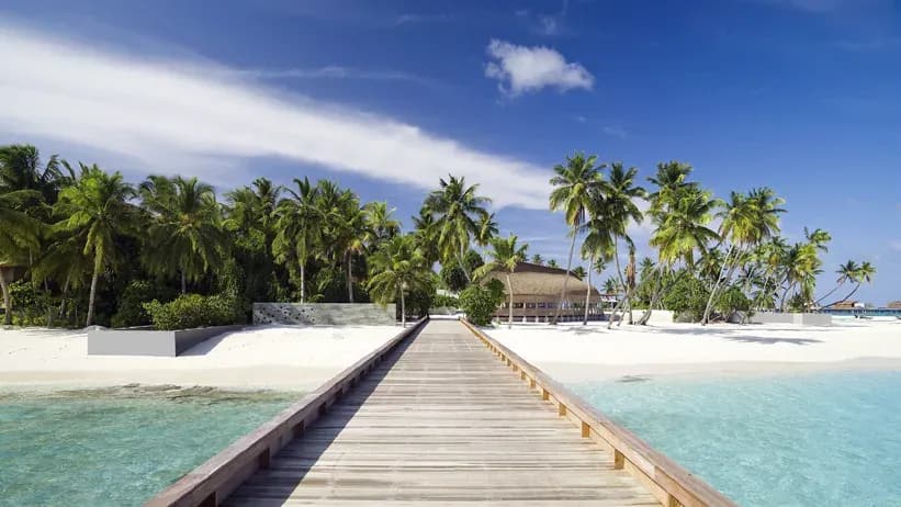 Wooden jetty leading through palm trees to the beach at Park Hyatt Maldives Hadahaa