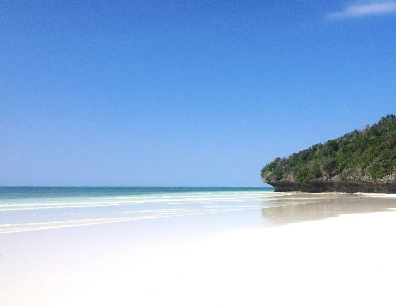 White-sand beach beneath the coral cliff at Qambani Luxury Resort, East Coast Zanzibar