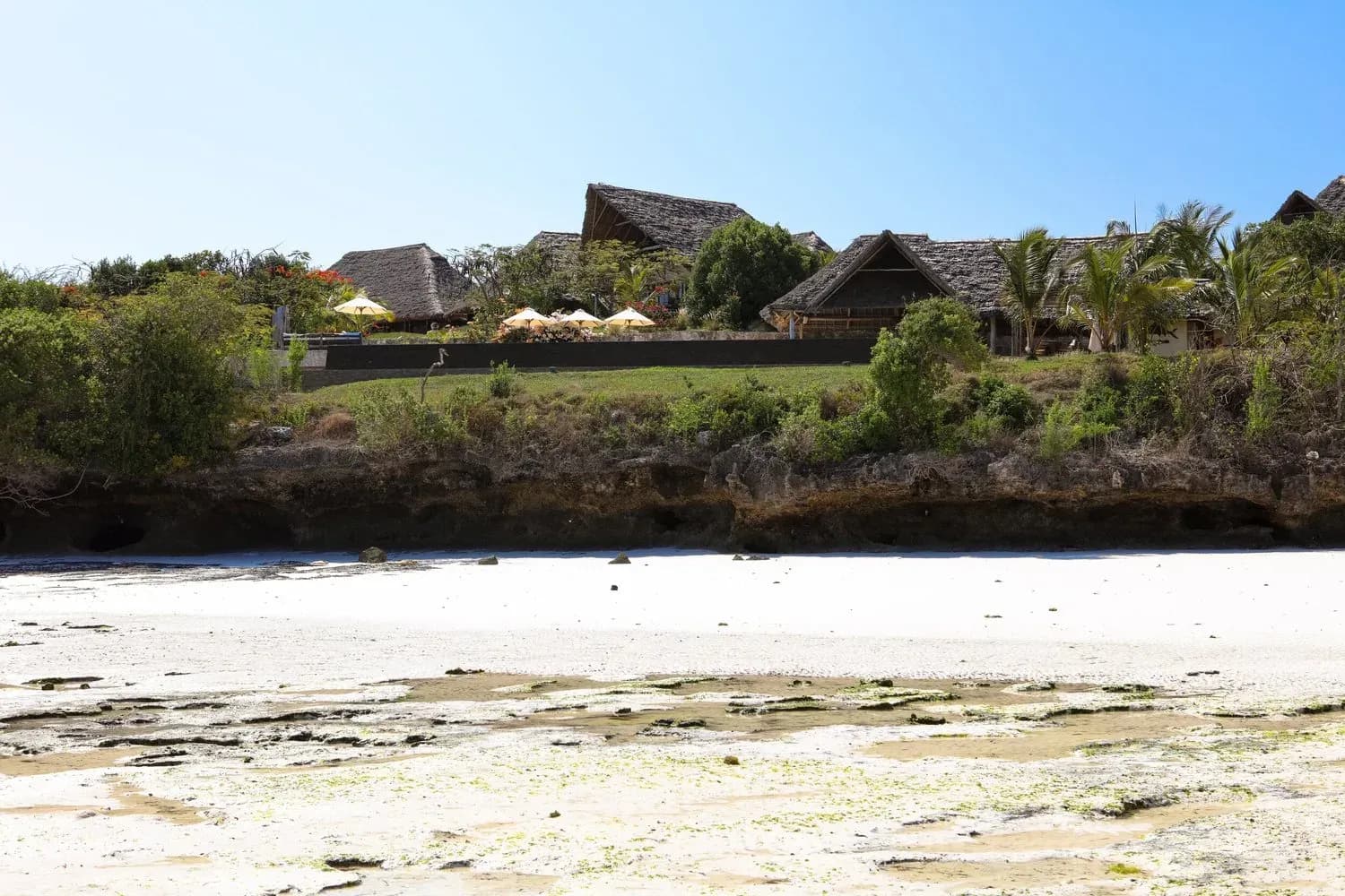 Qambani Luxury Resort viewed from the beach at low tide, thatched pavilions set above a coral cliff, Michamvi, Zanzibar