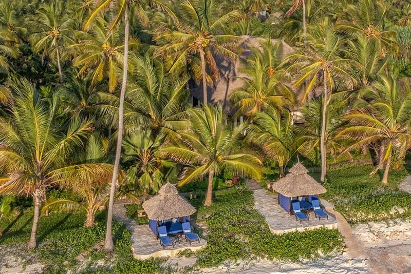 Palm-lined beach on Zanzibar's south-east coast at The Palms Zanzibar