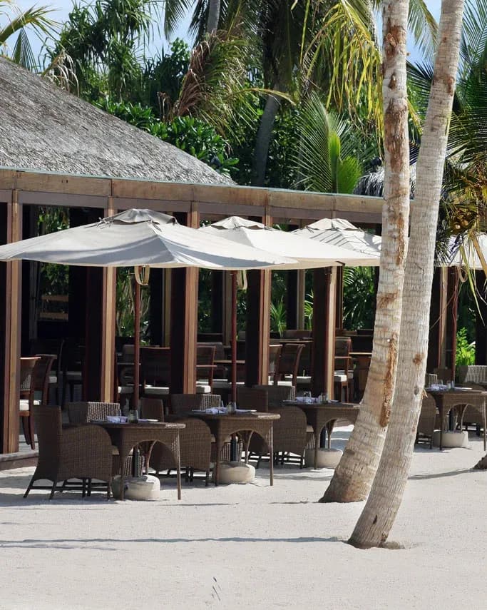 The Dining Room's open-air beachfront terrace among palm trees, The Residence Maldives at Falhumaafushi