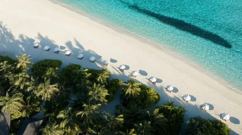 Aerial drone view of the island and surrounding reef at Niva Velassaru Maldives