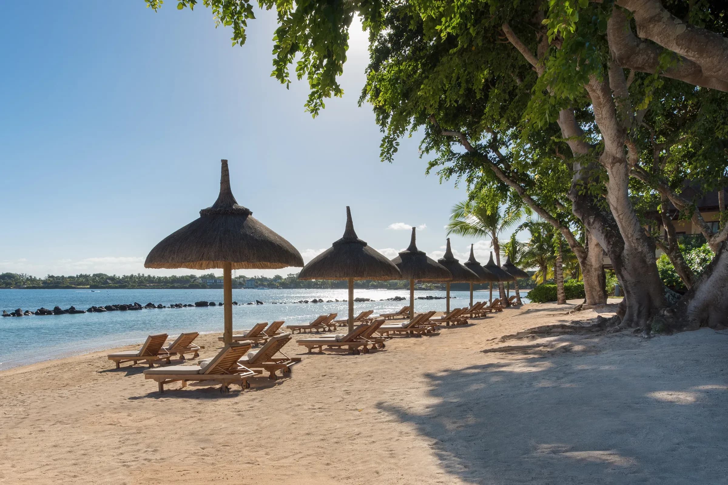 Thatched beach umbrellas and loungers on the shore at The Westin Turtle Bay Resort & Spa, Mauritius
