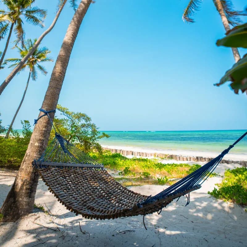 Hammock strung between palm trees on the beach at Xanadu Luxury Villas, Zanzibar